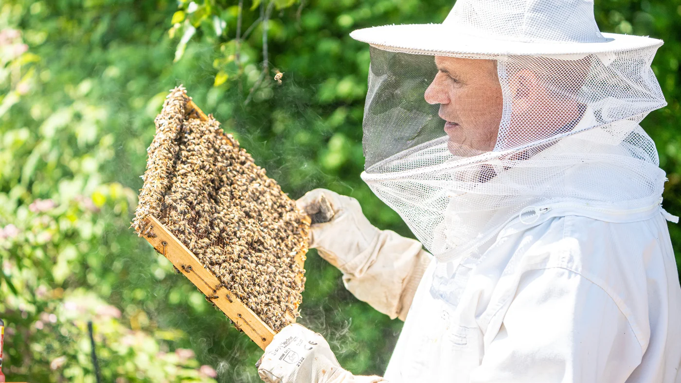 Nous vivons le développement durable